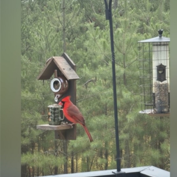 Rustic Wooden Handmade Bird Feeder Copper Birds - Picture 14 of 16